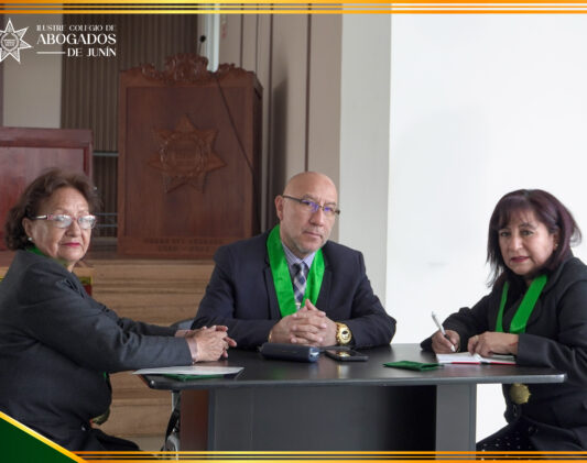 Junta de Fiscalizacion - 02